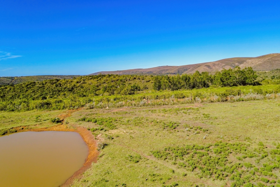 5 Bedroom Property for Sale in Elandsrivier Eastern Cape
